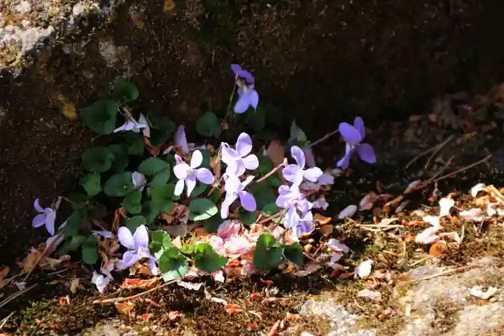 土津神社|こどもと出世の神さまの自然