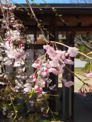 本土寺(千葉県)