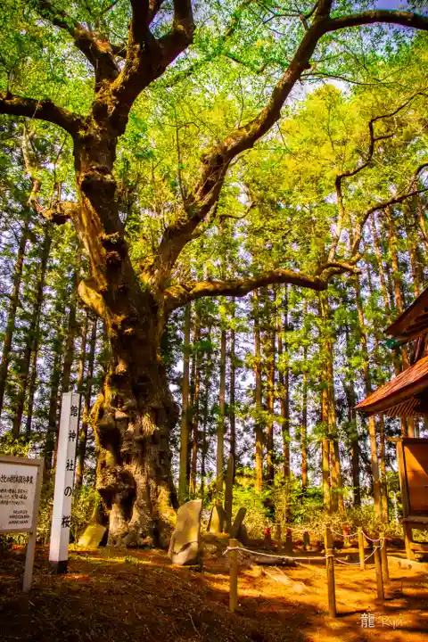 舘神社(宮城県)