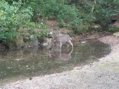 四宮神社(広島県)