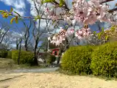 富士山本宮浅間大社の自然