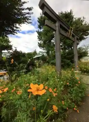 鷺宮八幡神社(東京都)