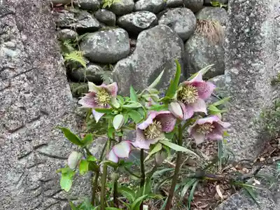 関善光寺(岐阜県)