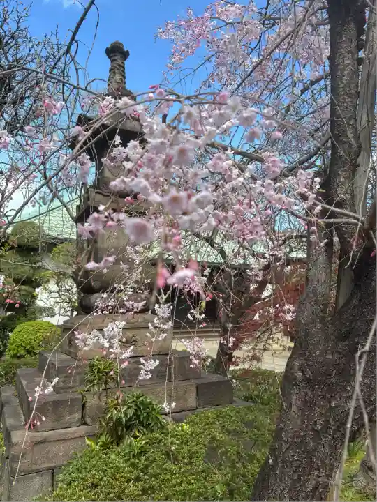 東陽院(東京都)