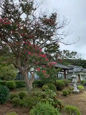 高平寺のその他建物