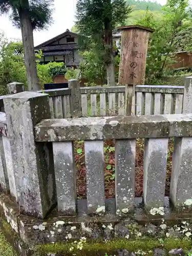 諏訪大社上社前宮(長野県)