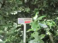 伊豆山神社 本宮社(静岡県)