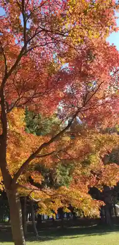 徳島稲荷神社の自然