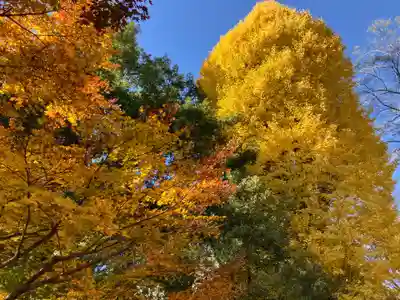淨眞寺(東京都)