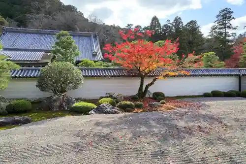 南禅寺の庭園