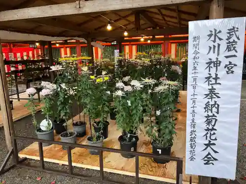 武蔵一宮氷川神社(埼玉県)