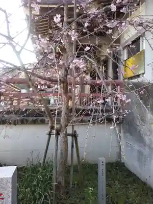 本牧神社(神奈川県)