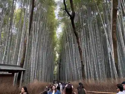 野宮神社(京都府)