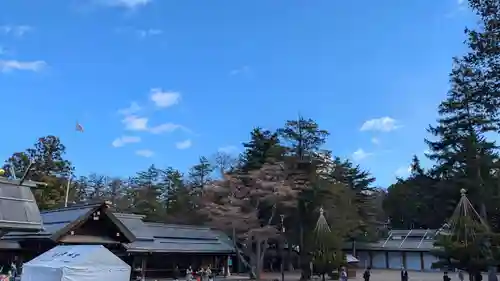 北海道神宮の景色