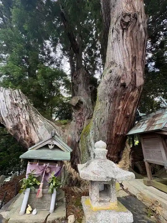 八坂神社(京都府)