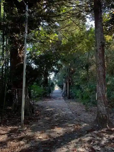八幡神社(千葉県)