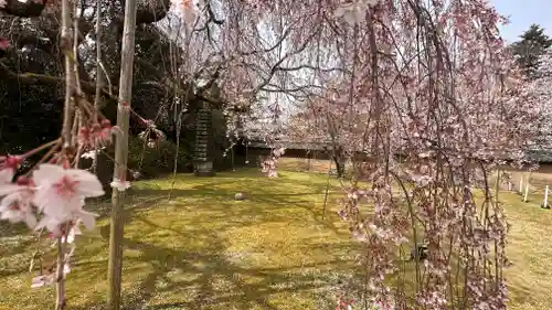 醍醐寺(京都府)