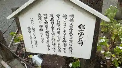 水無瀬神宮(大阪府)