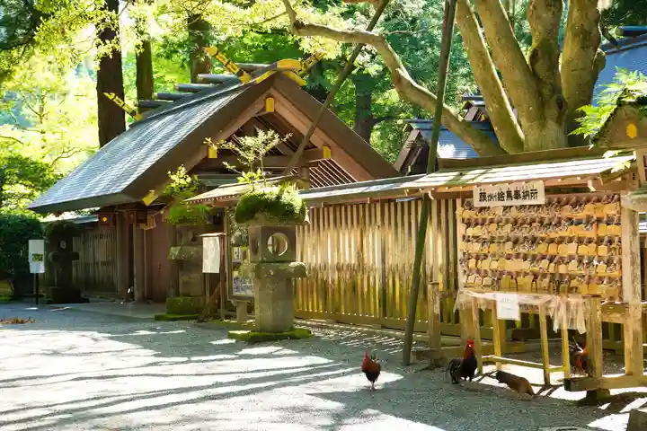 天岩戸神社(宮崎県)