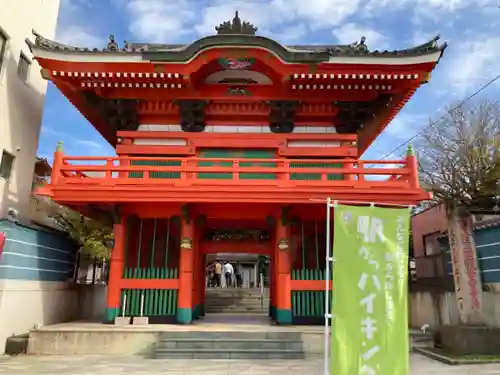 飯沼山 圓福寺の山門