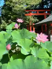 丹生都比売神社(和歌山県)