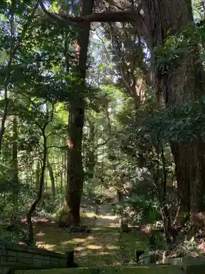 八幡神社(千葉県)