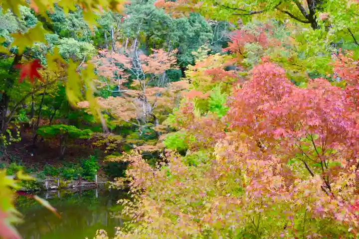 成相寺(京都府)
