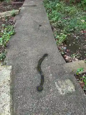 星宮神社(栃木県)