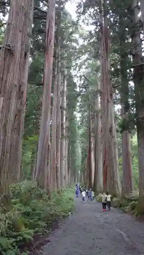 戸隠神社奥社の景色