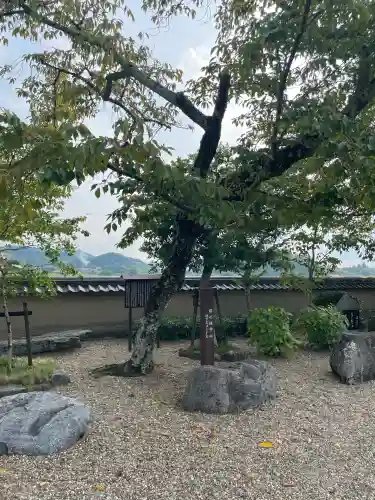 飛鳥寺(奈良県)