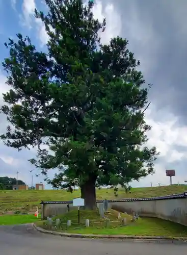 観世寺(福島県)
