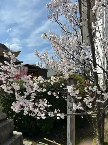 越中稲荷神社(富山県)