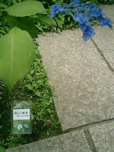 光則寺(神奈川県)