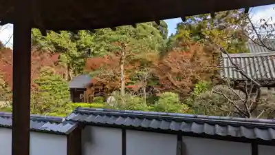 雲龍院(京都府)