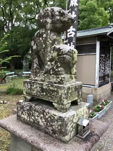 大麻比古神社の狛犬