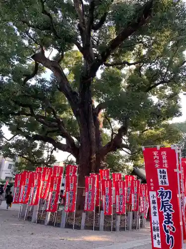 住吉大社の自然