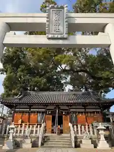 阿保神社(大阪府) 2025年02月16日(日)〜(2025年02月17日(月) 12時26分34秒投稿)