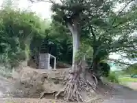 八幡神社の自然