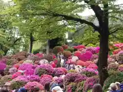 根津神社の庭園