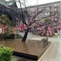 桜神宮の{uncategorized: "未分類", other: "その他", undefined: "問題あり", building: "その他建物", grave: "お墓", sacred_gate: "鳥居", guardian: "狛犬", statue: "像", buddha: "仏像", history: "歴史", nature: "自然", garden: "庭園", animal: "動物", pagoda: "塔", temizu: "手水舎", mountain_gate: "山門・神門", sanctuary: "本殿・本堂", subordinate: "末社・摂社", art: "芸術", scenery: "景色", jizo: "地蔵", ema: "絵馬", goshuin: "御朱印", omikuji: "おみくじ", items: "授与品その他", amulet: "お守り", goshuincho: "御朱印帳", eats: "食事", festival: "お祭り", votive_dance: "神楽", shichigosan: "七五三参", wedding: "結婚式", experience: "体験その他", initially: "初詣", around: "周辺", anti_infection: "感染症対策"}