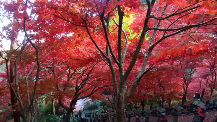 大山寺(神奈川県)
