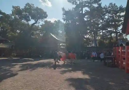 住吉大社(大阪府)