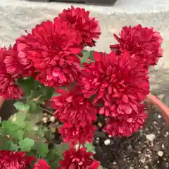 豊景神社の自然