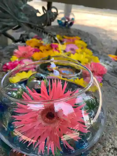 彌都加伎神社の手水舎