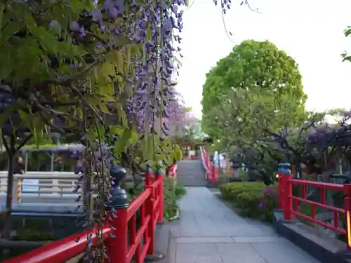 亀戸天神社の庭園