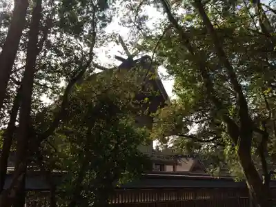 出雲大社(島根県)