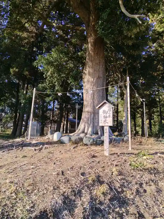宇都母知神社(神奈川県)