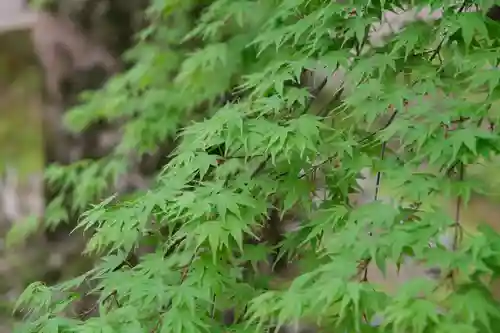 室生寺(奈良県)