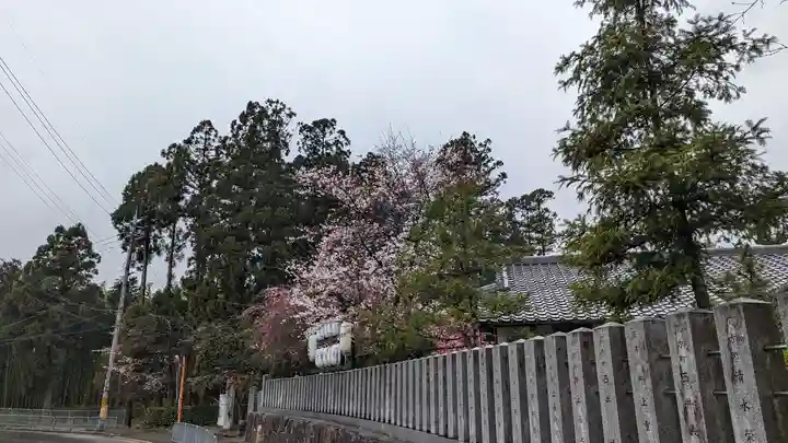 大歳神社(京都府)