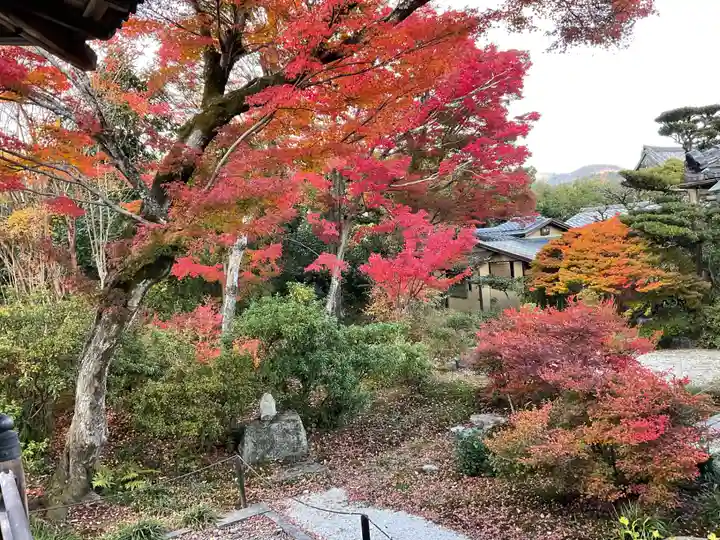宝筐院(京都府)